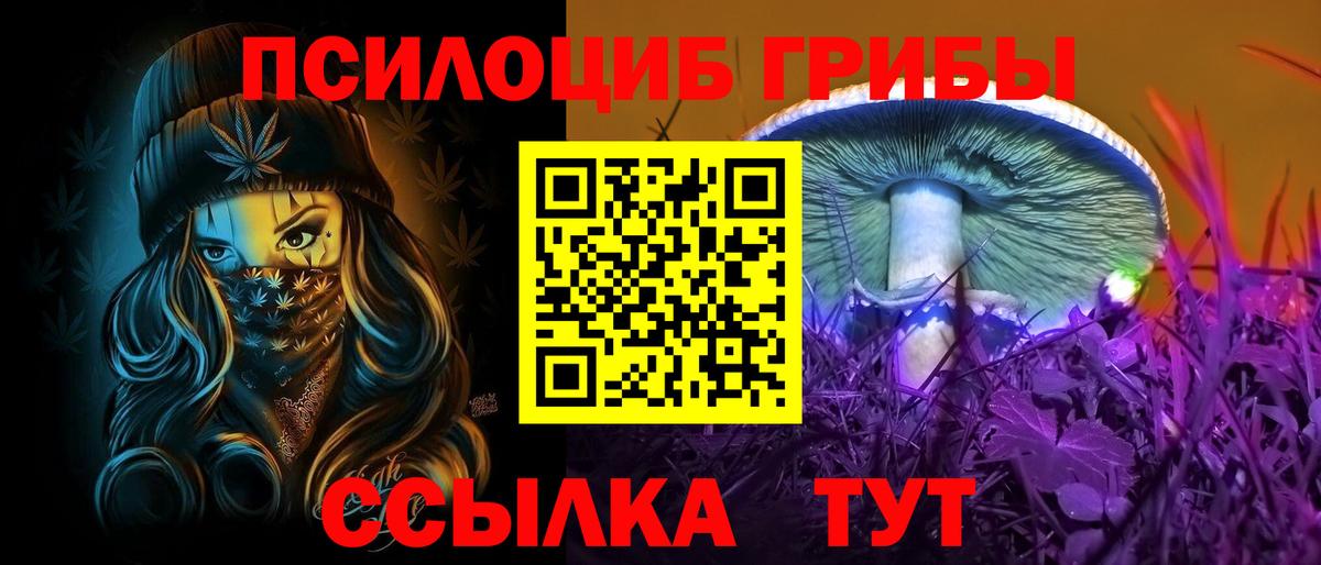 Йошкар-Ола  Галлюциногенные грибы Magic Shrooms  Вход с VPN  хочу наркоту  Псилоцибиновые грибы Psilocybine cubensis 